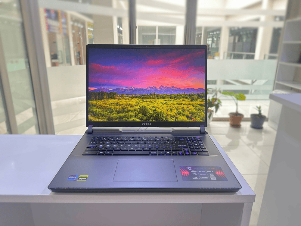 MSI Vector 17