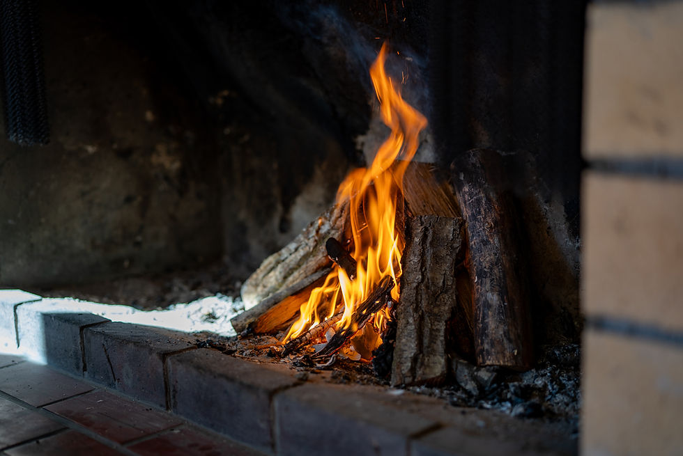 Fire place 2