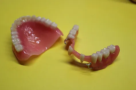 Adjointe Resine Plaisir Lab Prothese