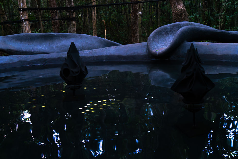BatCloud_©CristinaTarquini_44.jpeg