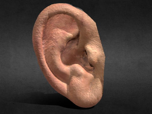 Calibry mini를 이용한 3D 스캐닝