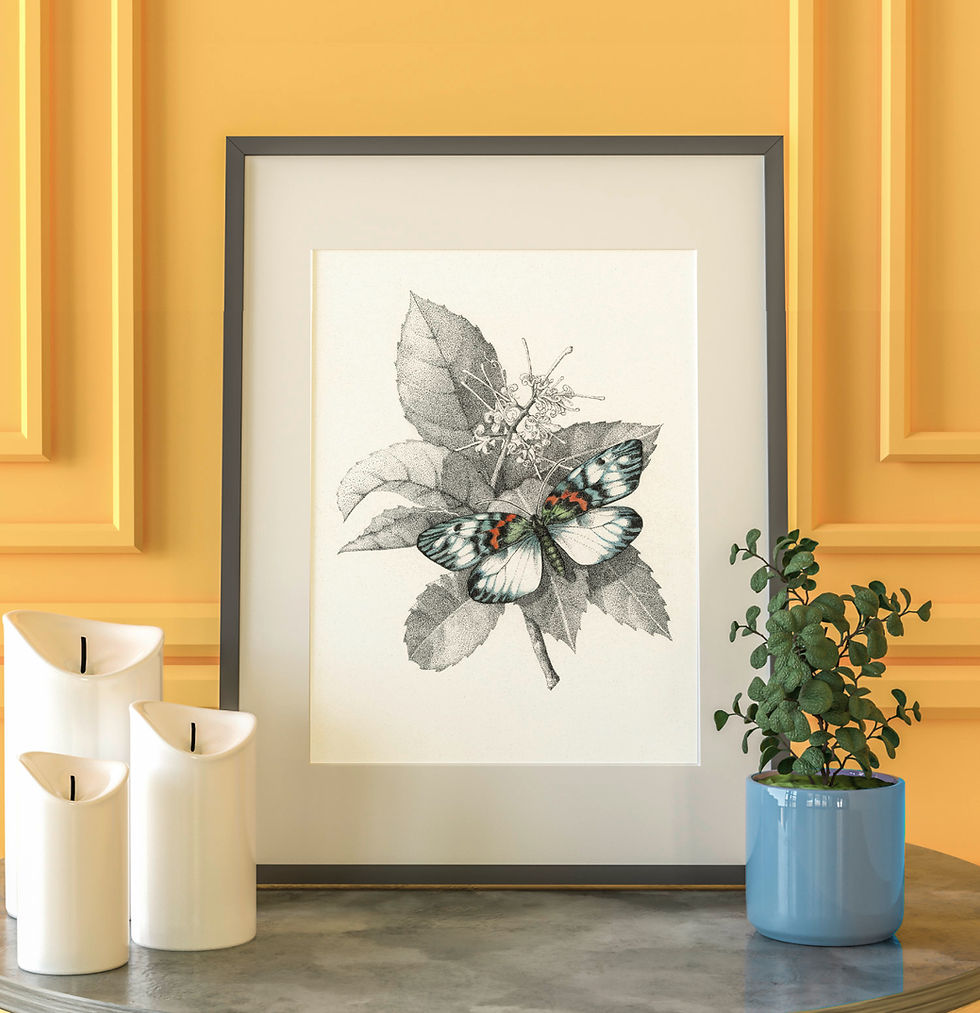 Thumbnail: Hand Finished Erasmia Pulchella Moth
