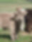 -storage-emulated-0-Pictures-0418211044.JPG