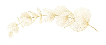 Website break Gala.png