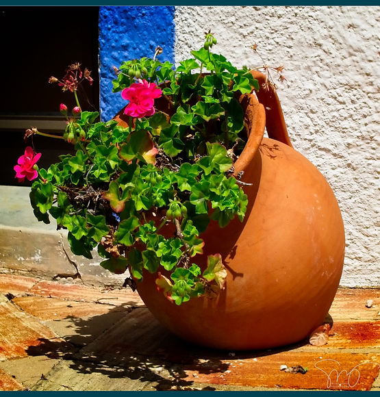 Summer Flower Jug.jpeg