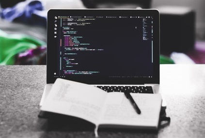 Five Skills You Need to Become a Professional Web Developer
