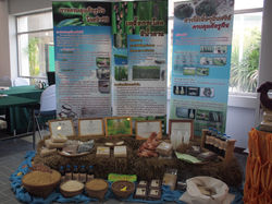 Picasa - P1209953.jpg