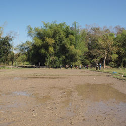 Picasa - P1230111.jpg