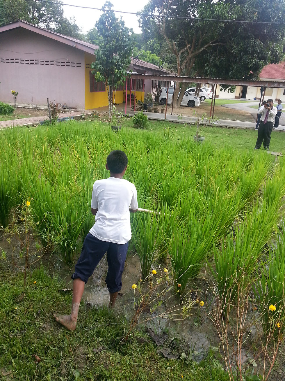Sek ampang muda sri 130616.jpg