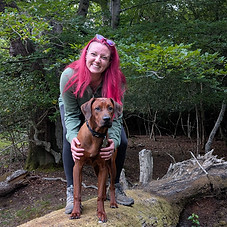 Ridgeback Rambles dog Bayo