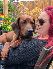 Ridgeback Rambles dog Bayo