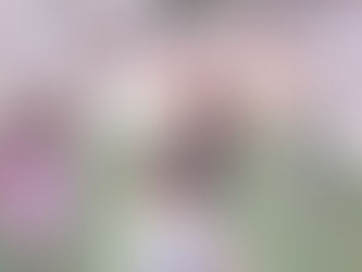 Exercise time at ACTIVITY CLUB๐คธโโ๏ธ