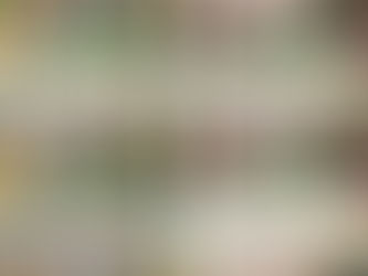 ๐ผโจ Gudi Padwa Celebration at Activity Clubโจ๐ผ