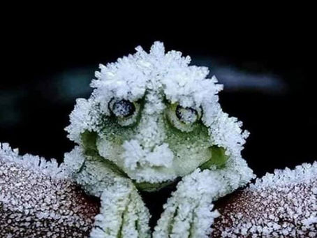 The silent death of hospitality and the withdrawal of staff