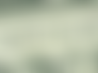 GRATUITIES & TIPS - WHEN GREED PREVAILS !