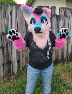 fursuit image