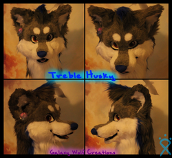 Treble husky head