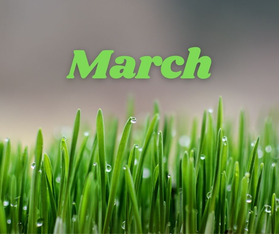 March Newsletter