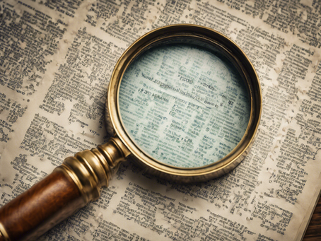 Unveiling the Truth: Savage Eyes, LLC Investigations