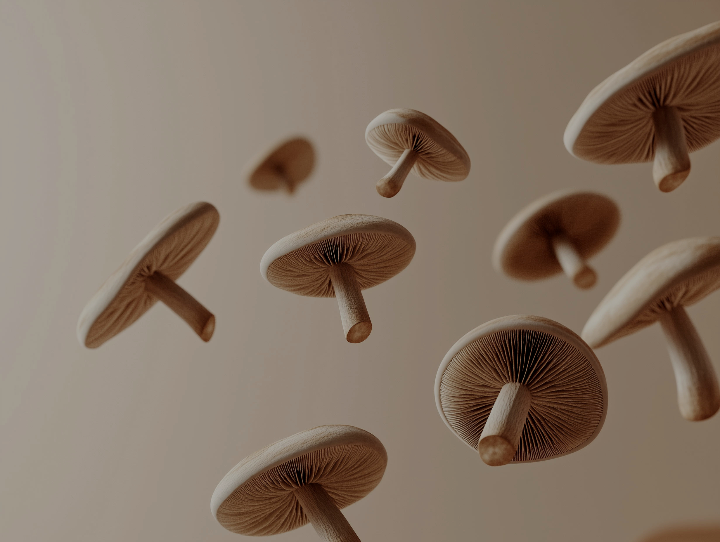 Floating Brown Mushrooms_edited.jpg