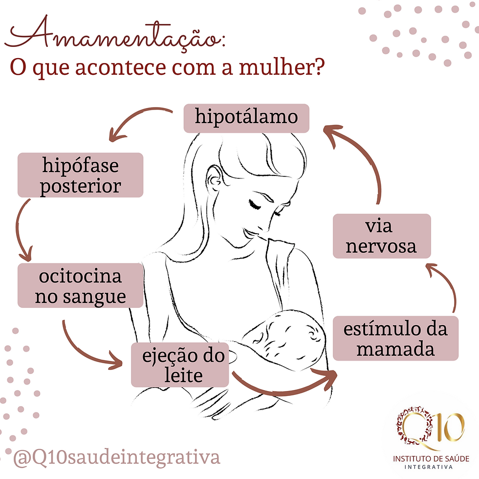 Como o leite materno é produzido?
