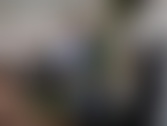 The Bird Flu Outbreaks: