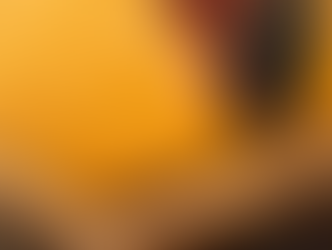 MycoWorks: Cruelty-free ‘Leather’ Made from Mushrooms