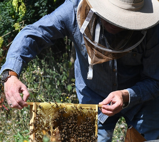 Tony PLAN BEE (13).jpg