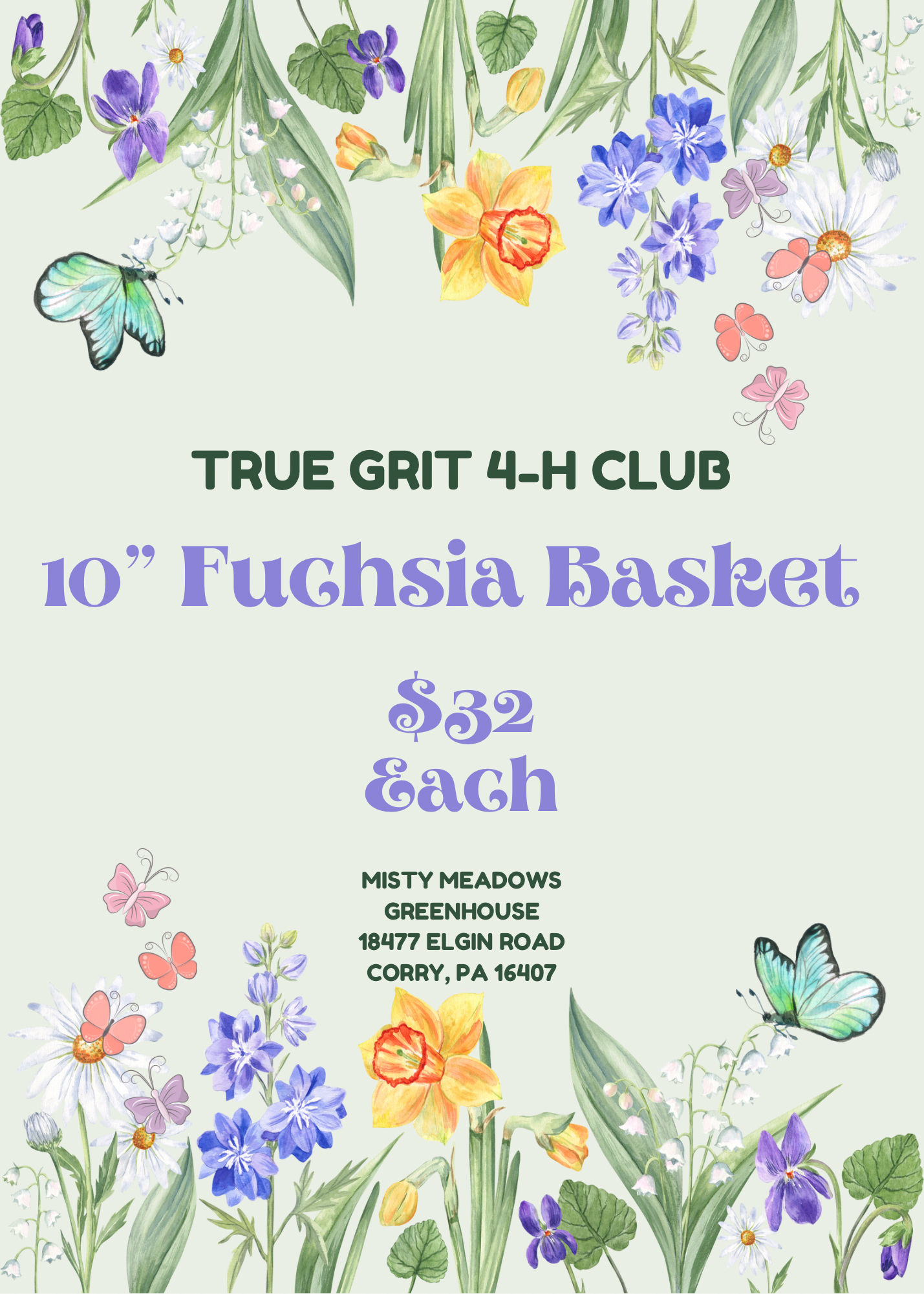 True Grit 4-H Fundraiser 10" Fuchsia Hanging Basket
