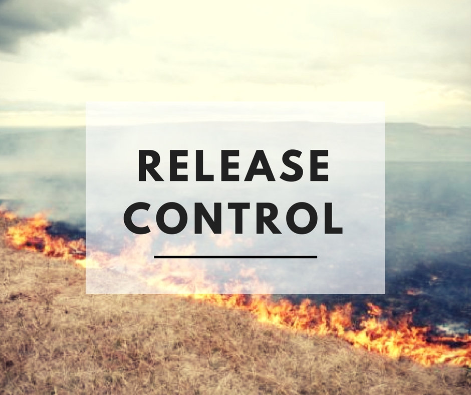 Released Control Check Release Control