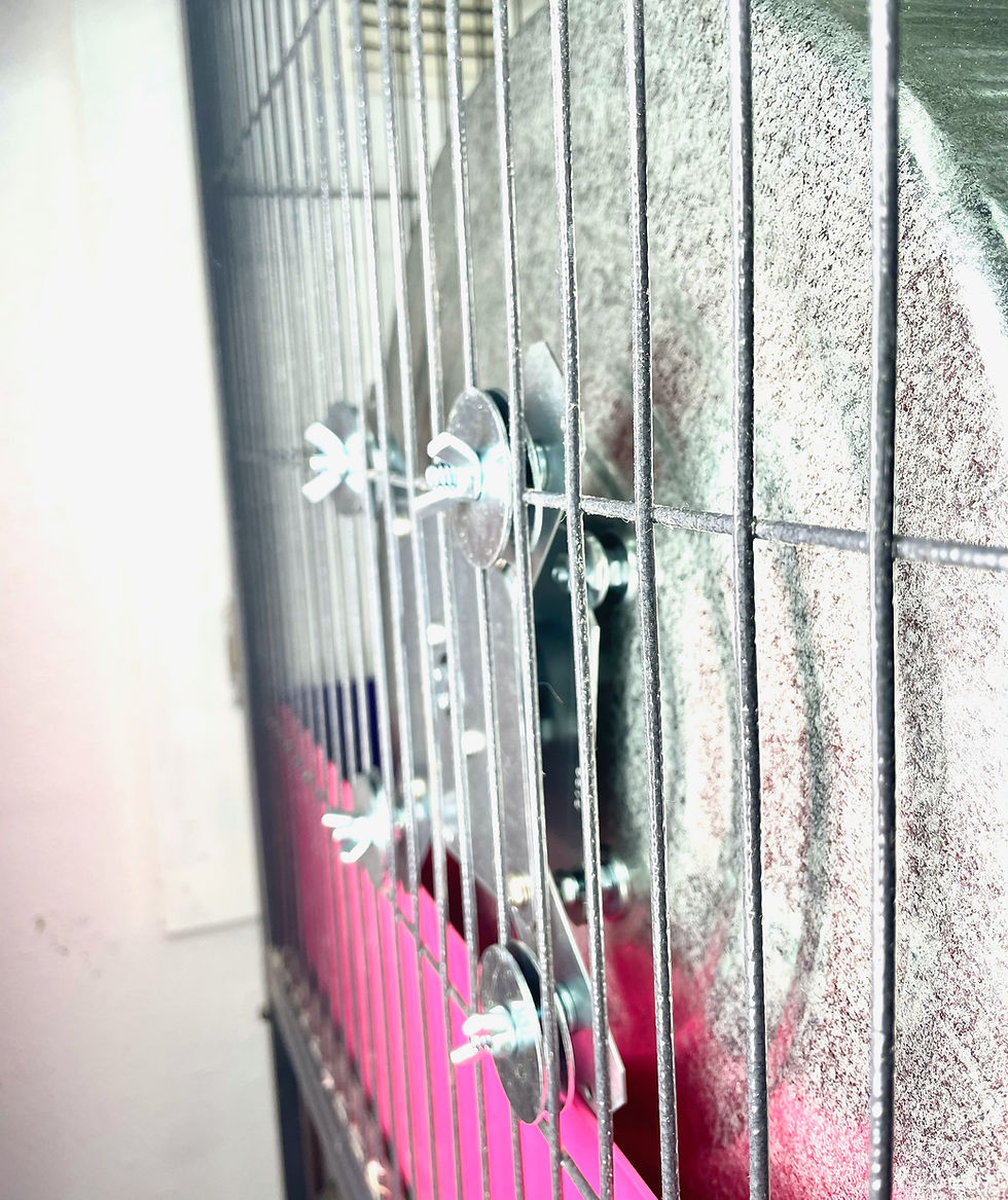 Thumbnail: Xtra Soundless Spinner™- Chinchilla Wheel