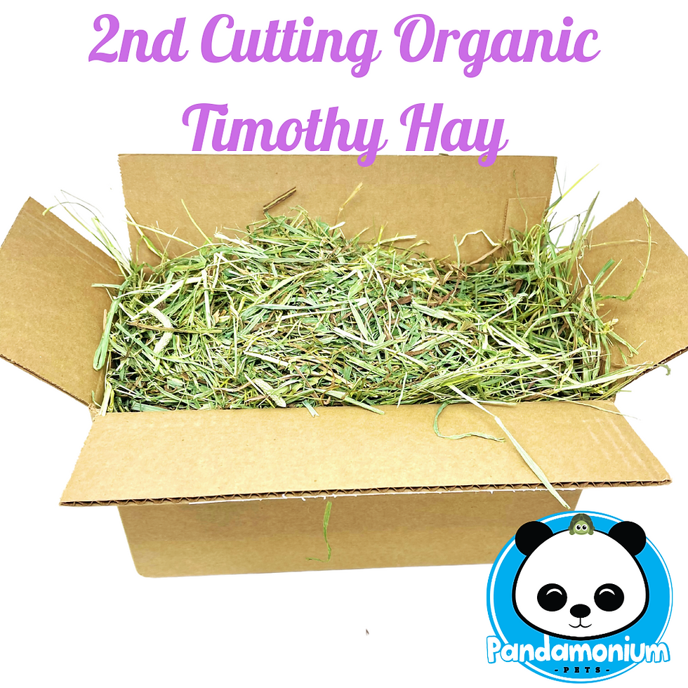 2nd Cutting Organic Timothy Hay-Chinchillas, degus, rabbits and guinea ...