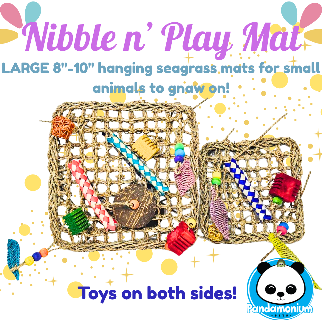8"-10" Nibble n' Play Mats-BIG Interactive seagrass mats for small pets!