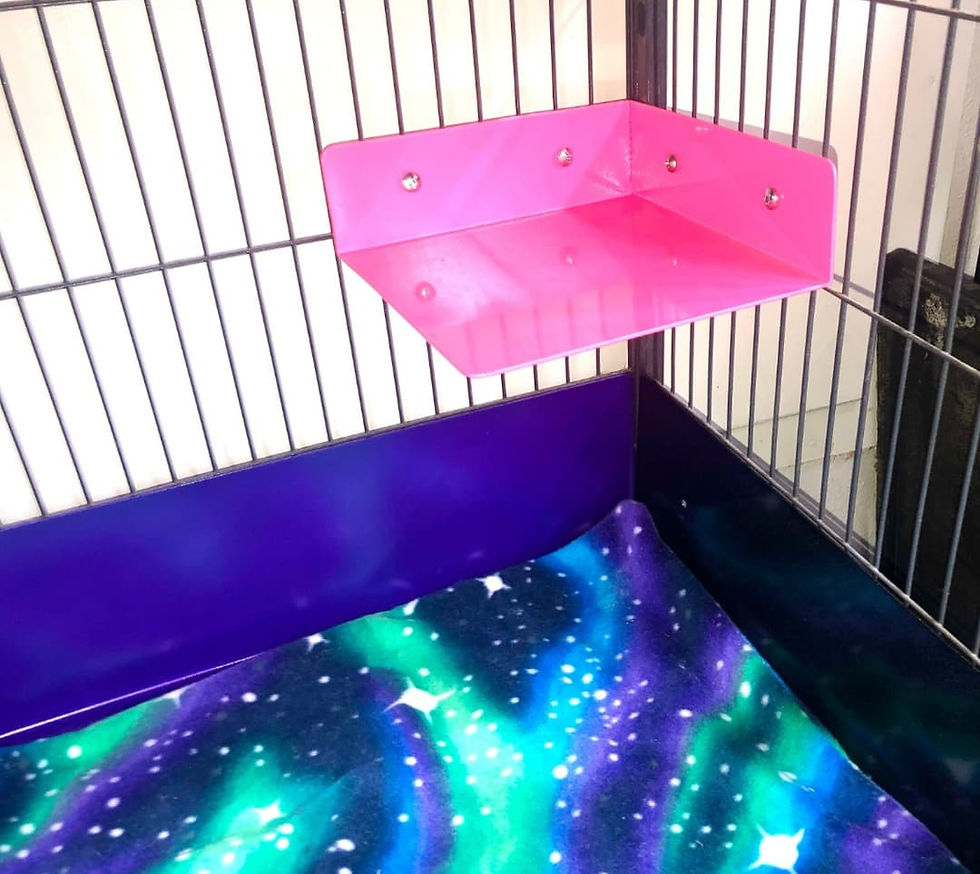 Thumbnail: Colorful Metal Cage Guards- Pandamonium Pets