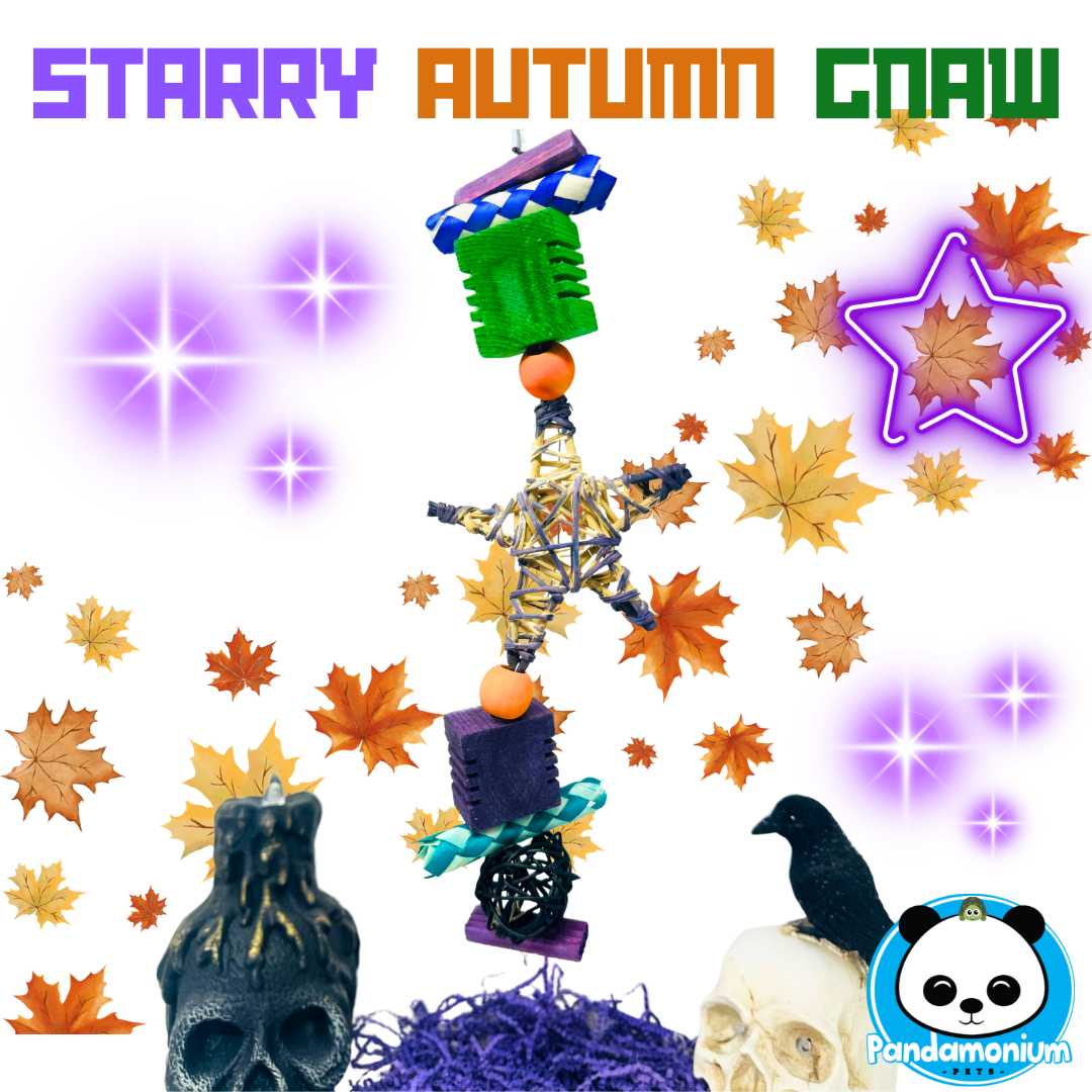 Starry Autumn Gnaw