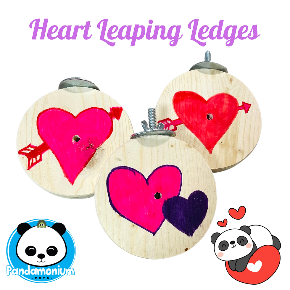 Heart Leaping Ledges