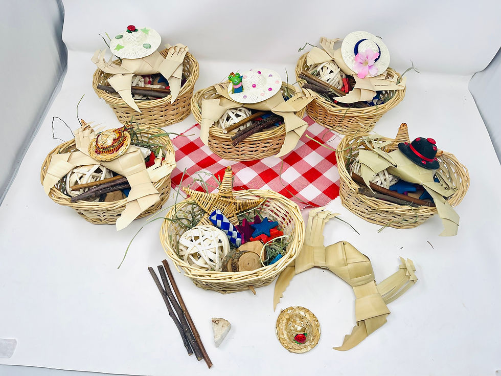 Thumbnail: Seaside Foraging Baskets with Cute Hats- Chinchilla treats, rabbit treats