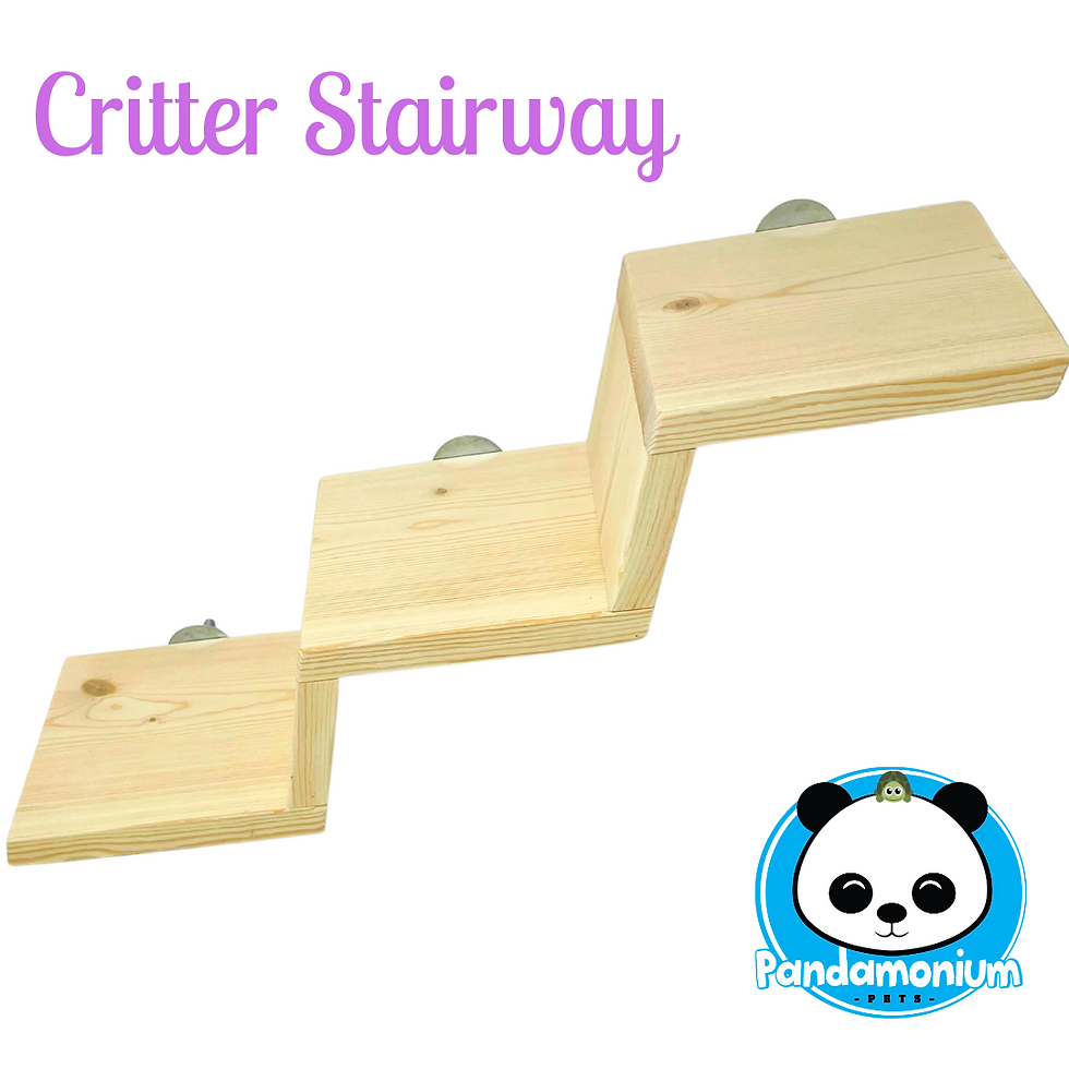 Critter Stairway