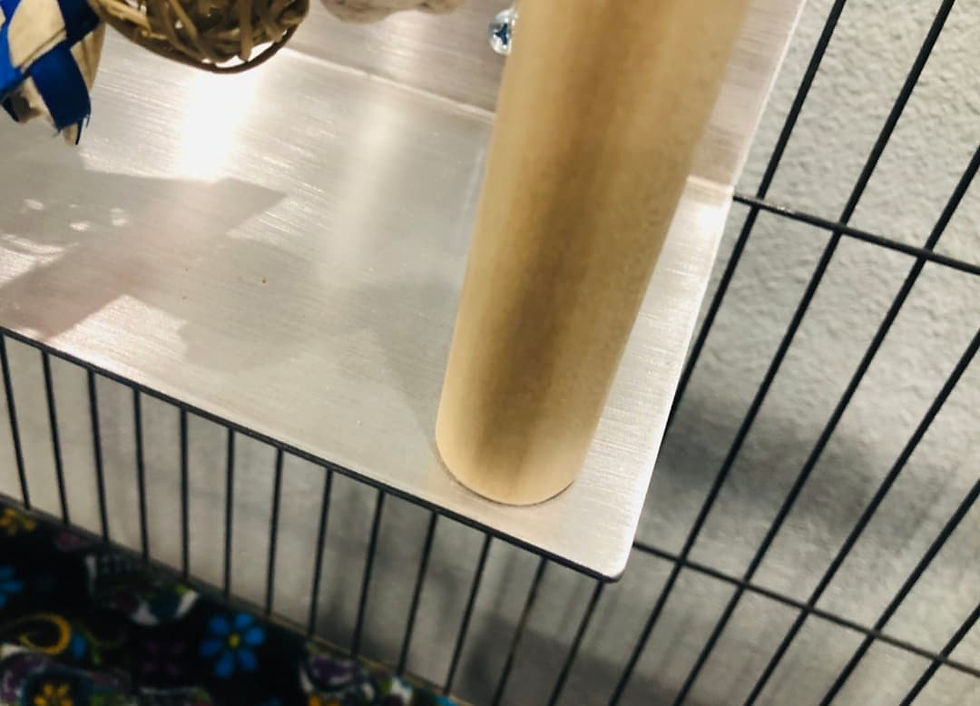 Thumbnail: Metal Interactive ledges-For Chinchillas, Degus, Rats