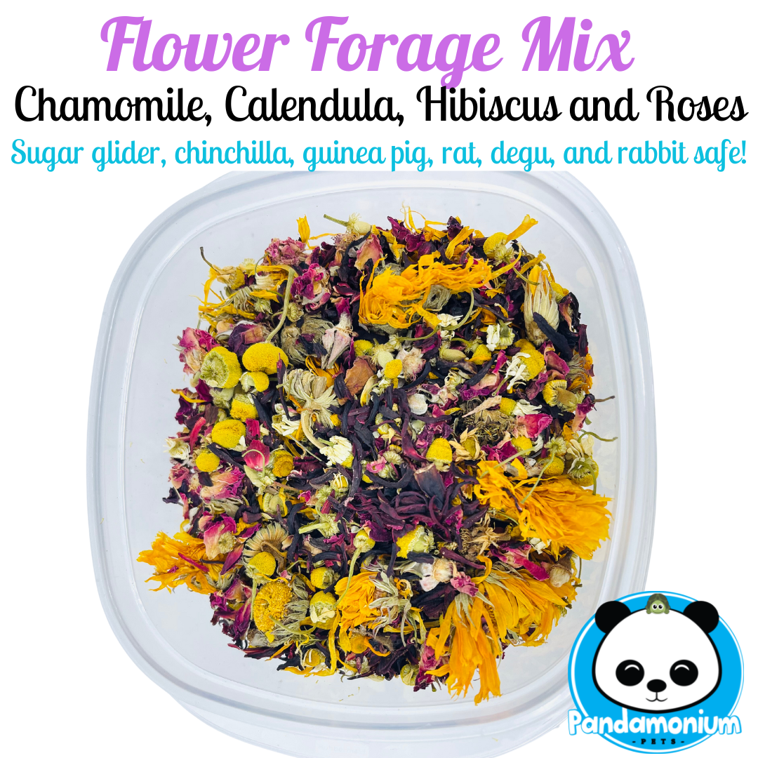 Flower Forage Mix-Sugar glider safe! Also for chinchillas, rabbits, degus