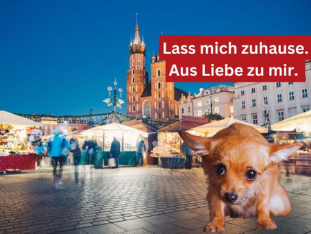 kuer.at: Hunde nicht mit auf den Weihnachtsmarkt nehmen. Fotocredit: Pfotenhilfe
