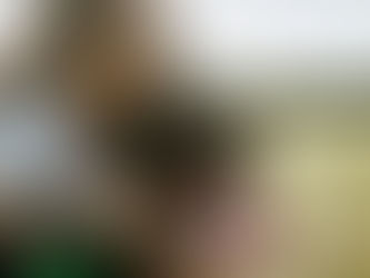 kür Newsmagazin Gefährliche Parasiten Tierhalter unterschätzen Risiko