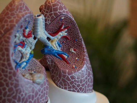 Neuer Therapieansatz bei Lungenfibrose. kür Newsmagazin.r