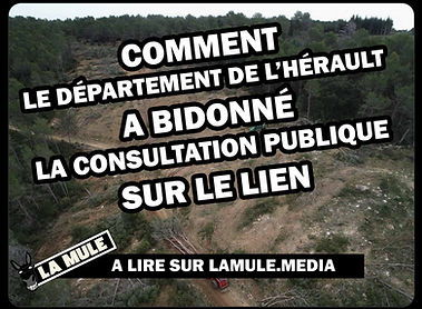 une mule du pape.jpg