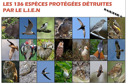 136 especes partie1.jpg