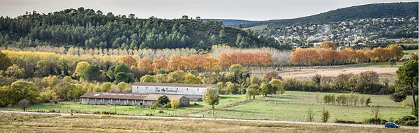 lichauda batiment-web.jpeg