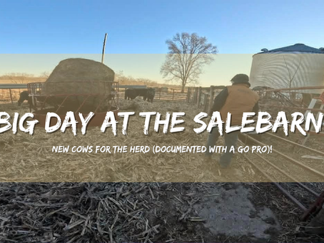 Grab coffee, let's chat!