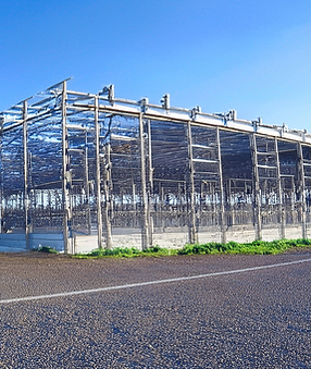 Başlıksız (20).png