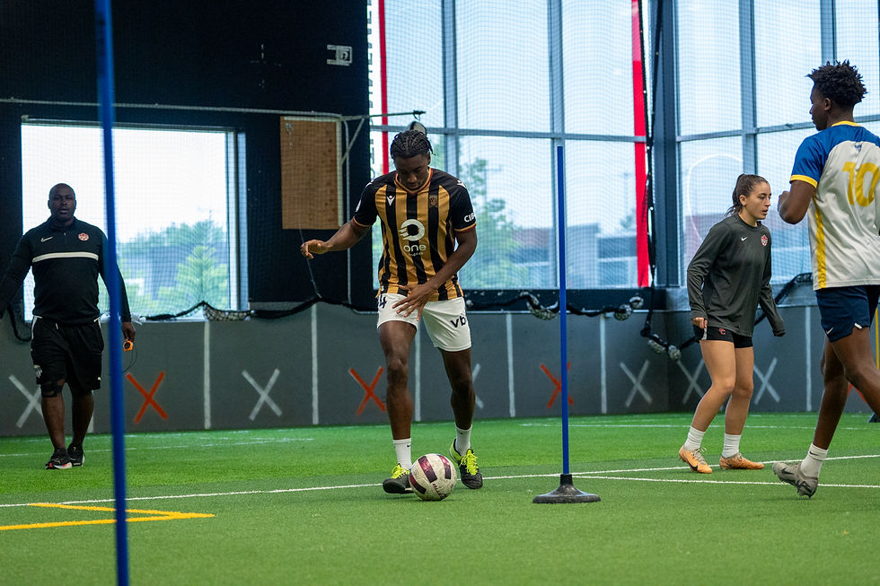 Entraînement pros