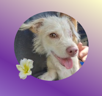 Milka